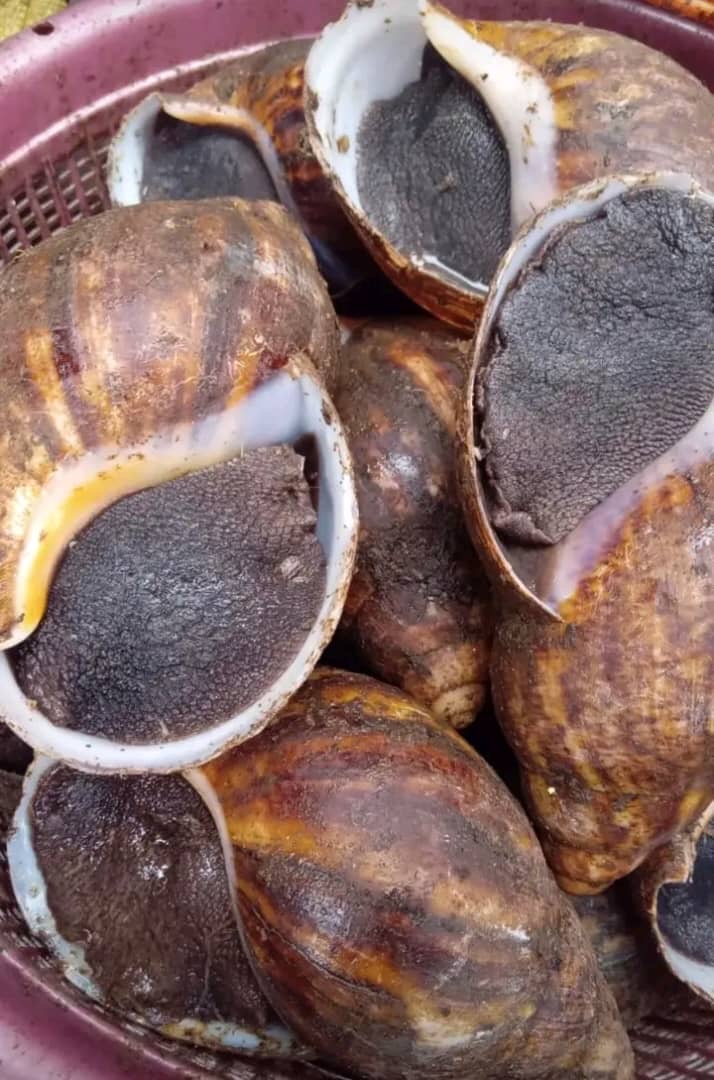 be23c392-b368-426d-ac50-41c9282b1cc0