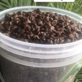 Fresh Locust Beans (Iru)